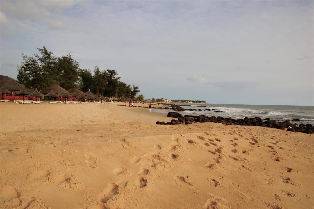 Strand Royal Horizons Baobab