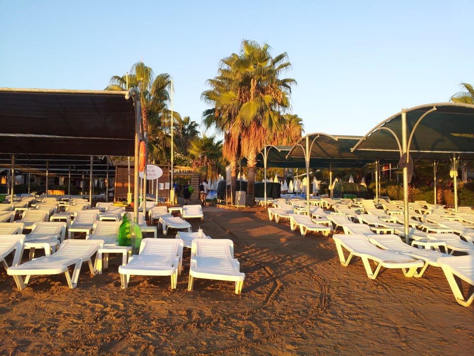 Trendy Palm Beach Hotel Trendy Palm Beach (Adults Only, 16+)