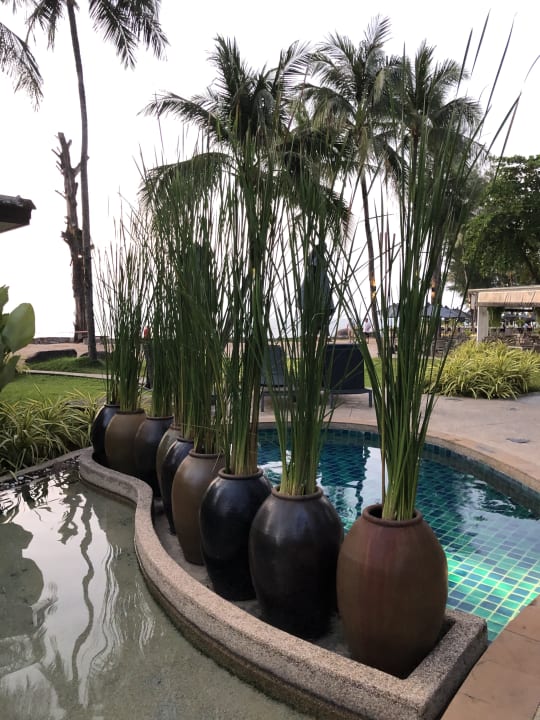 Gartenanlage Moracea by Khao Lak Resort