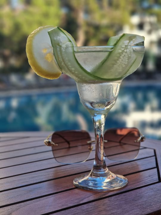 Gastro Asteria Collection Side