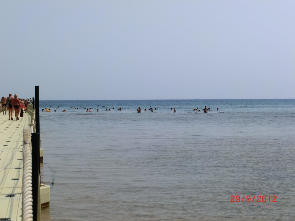 Plastiksteg Pickalbatros Palace Resort