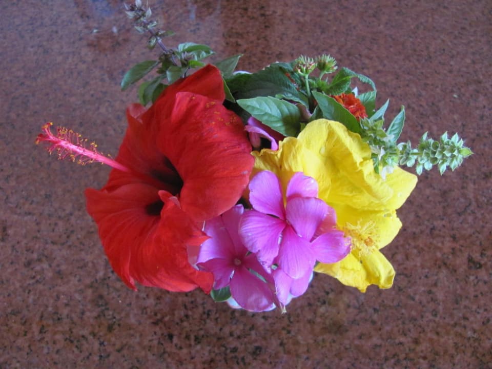 Auch sowas bekamen wir Pickalbatros Alf Leila Wa Leila Resort - Neverland Hurghada