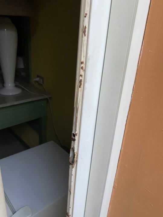 Zimmer Giftun Azur Resort