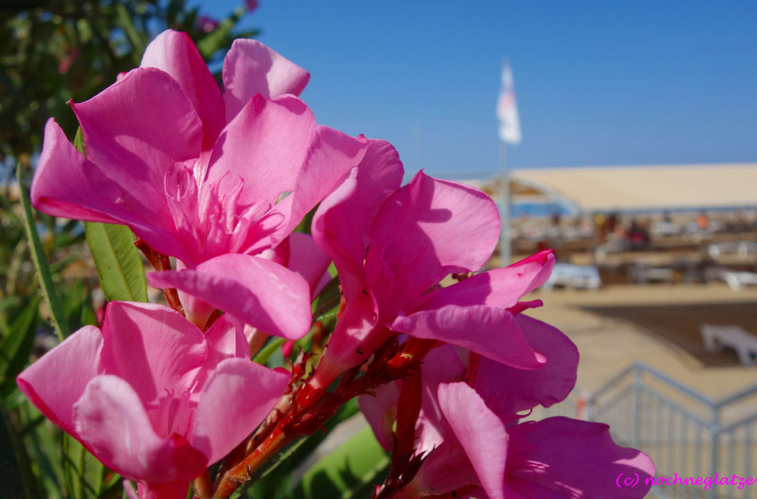 Strand Seher Kumköy Star Resort & Spa