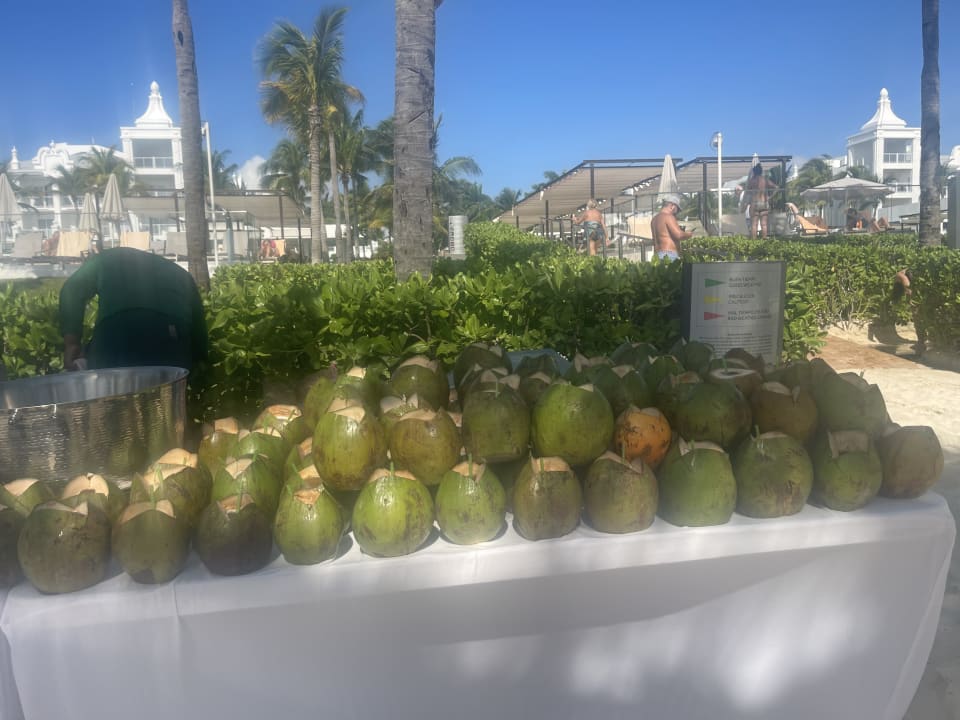 Gastro Hotel Riu Palace Riviera Maya