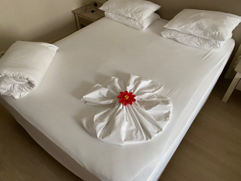 Zimmer Aydinbey Kings Palace & Spa