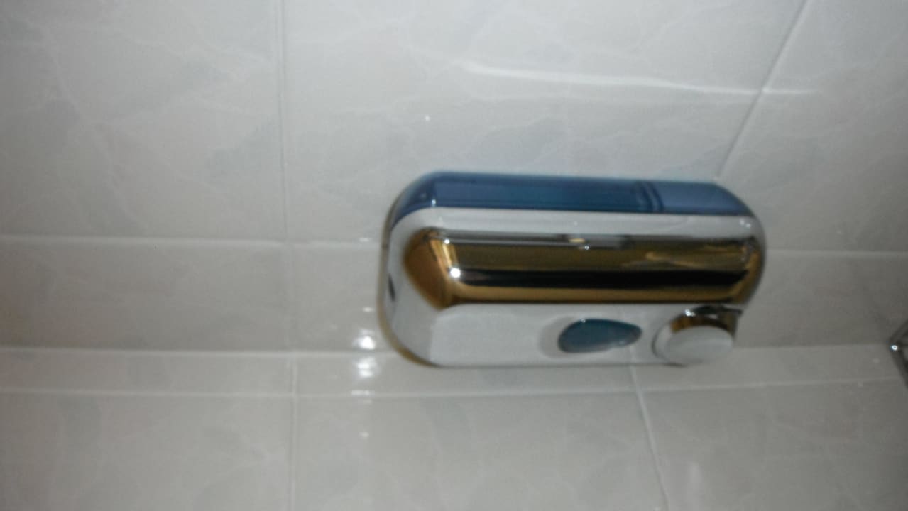 Seifenspender in Dusche Landhotel Geiselwind