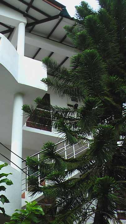 Treppe zur 1 + 2 Etage Sakura Hana Gästehaus