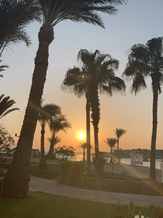 Ausblick Steigenberger Coraya Beach - Adults only