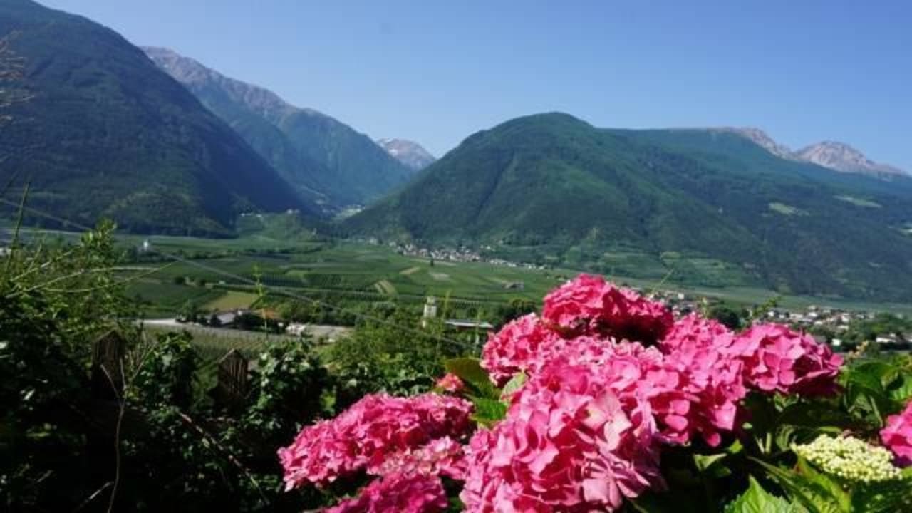 Im Garten Ferienwohnungen Langstein