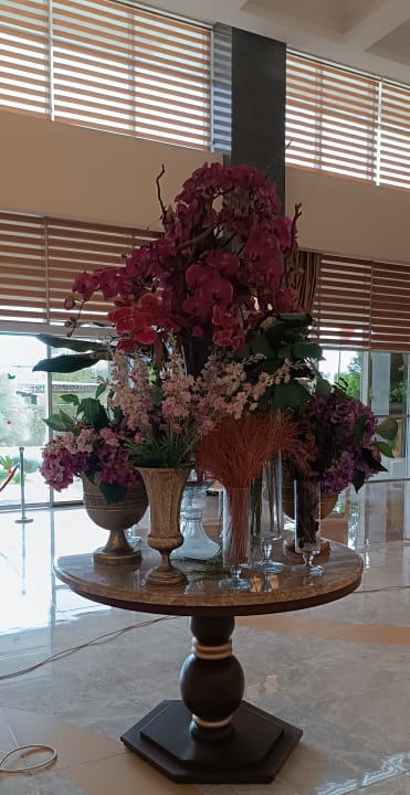 Sonstiges Hotel Royal Garden Beach
