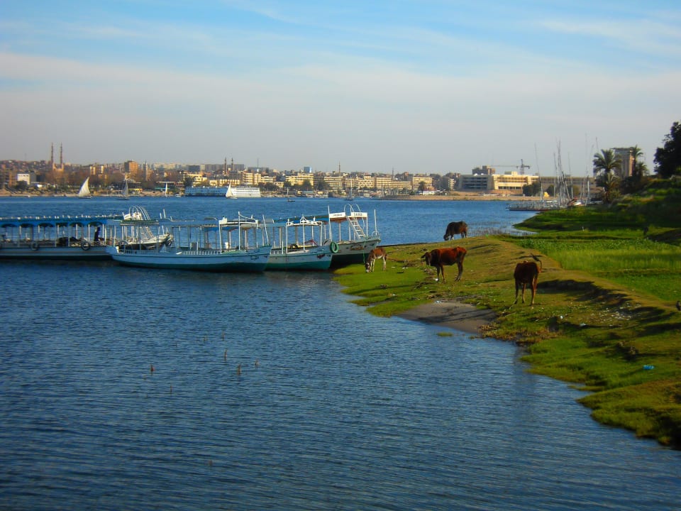 Assuan: herrliche Landschaft Nubian Holiday House Aswan