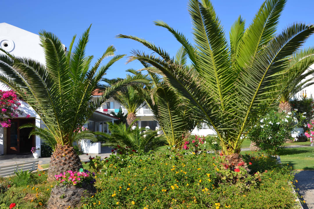 Hotel Mrs Chryssana Beach Hotel