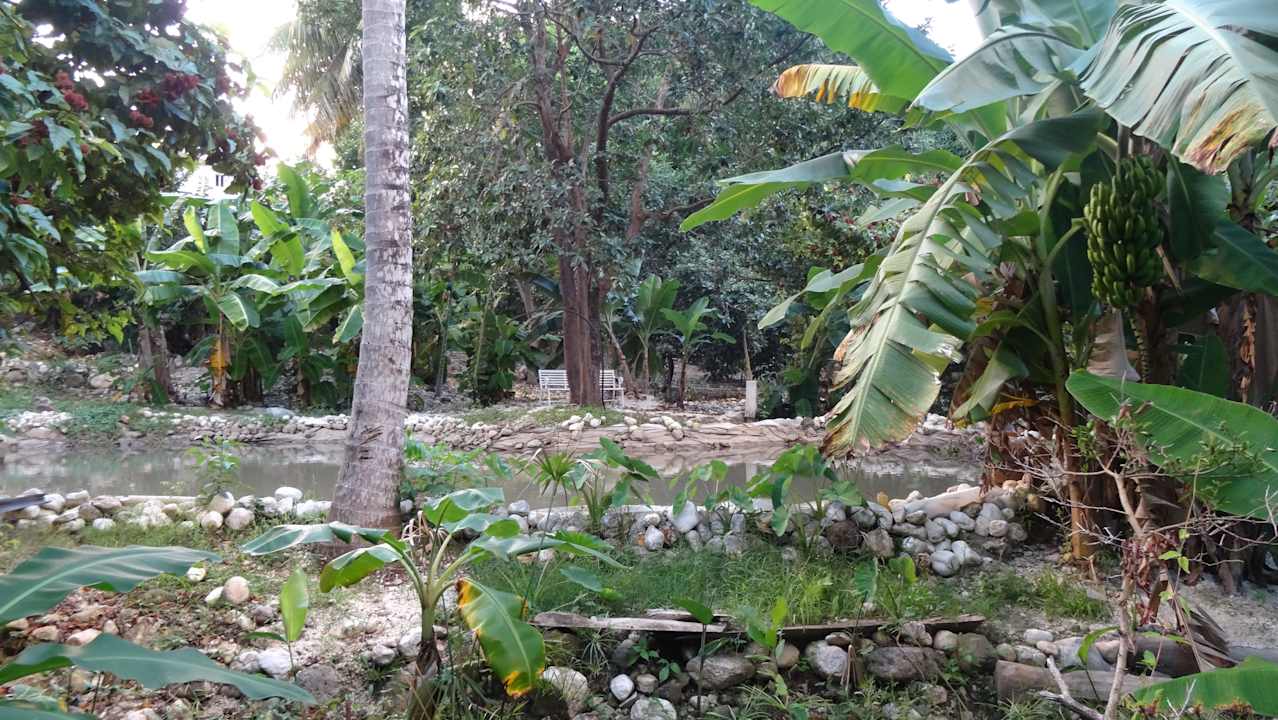 Garten Hotel Rancho Don Cesar