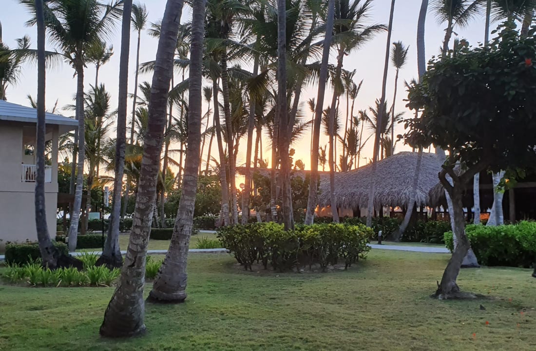 Gartenanlage Hotel Grand Palladium Palace Resort, Spa & Casino