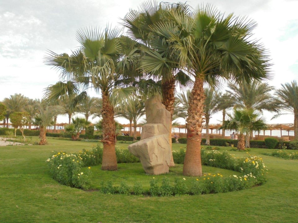 Территория отеля SUNRISE Royal Makadi Resort