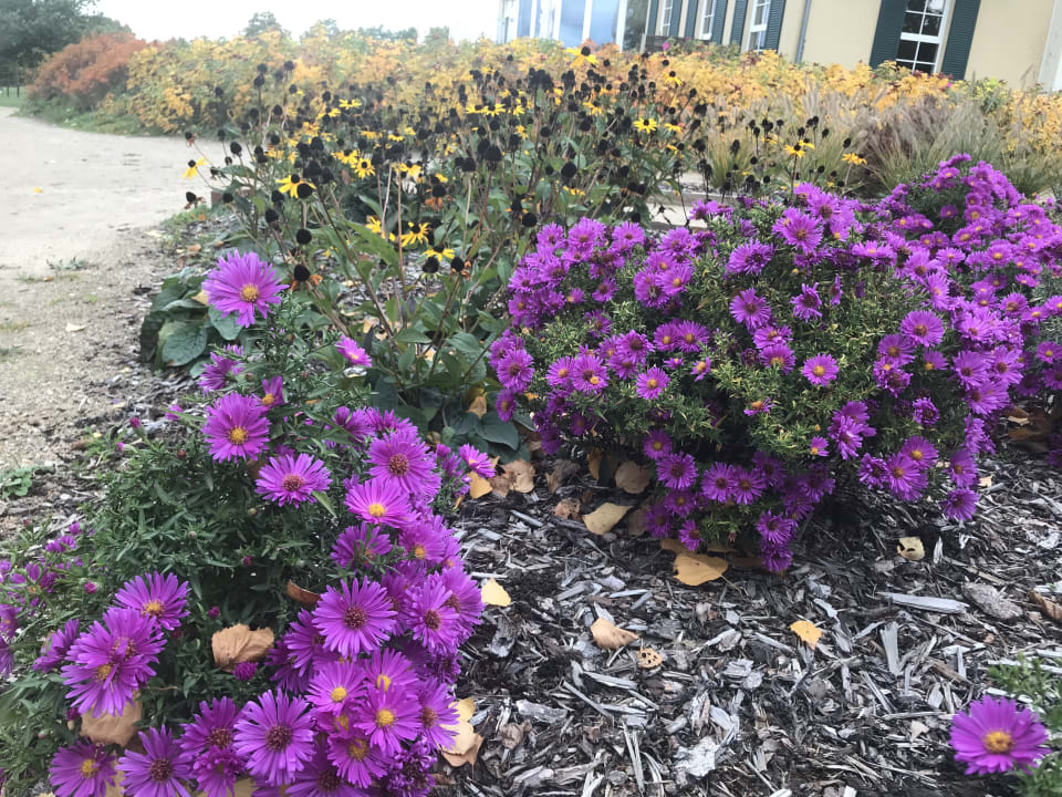 Sonstiges Best Western Premier Castanea Resort Hotel