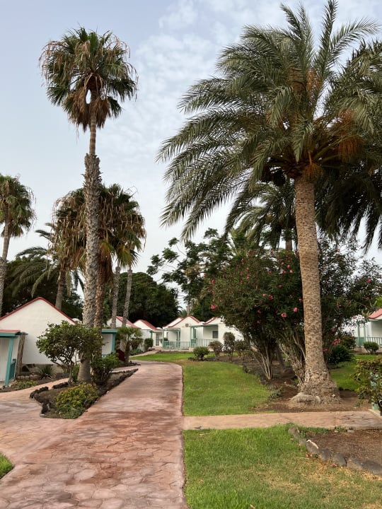 Gartenanlage Aldiana Club Fuerteventura