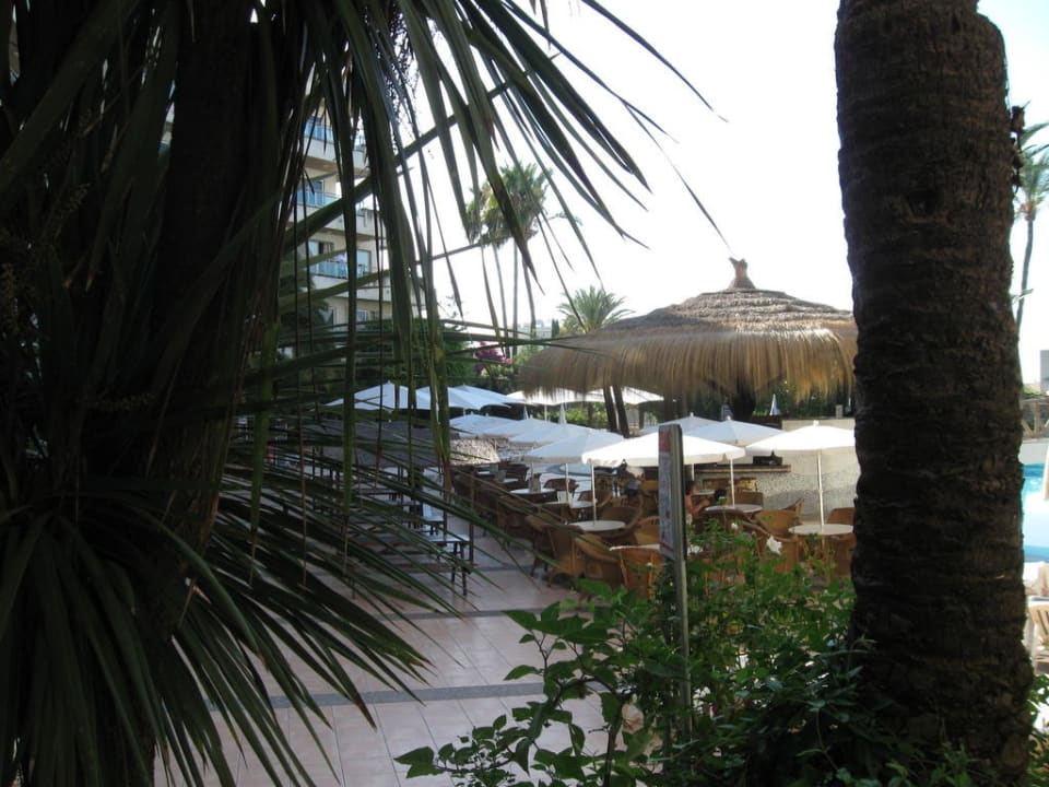 Pool BG Hotel Rei del Mediterrani Palace