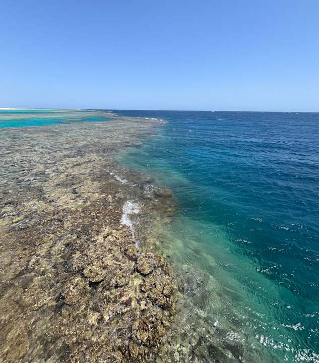 Strand Hotel Gorgonia Beach Resort