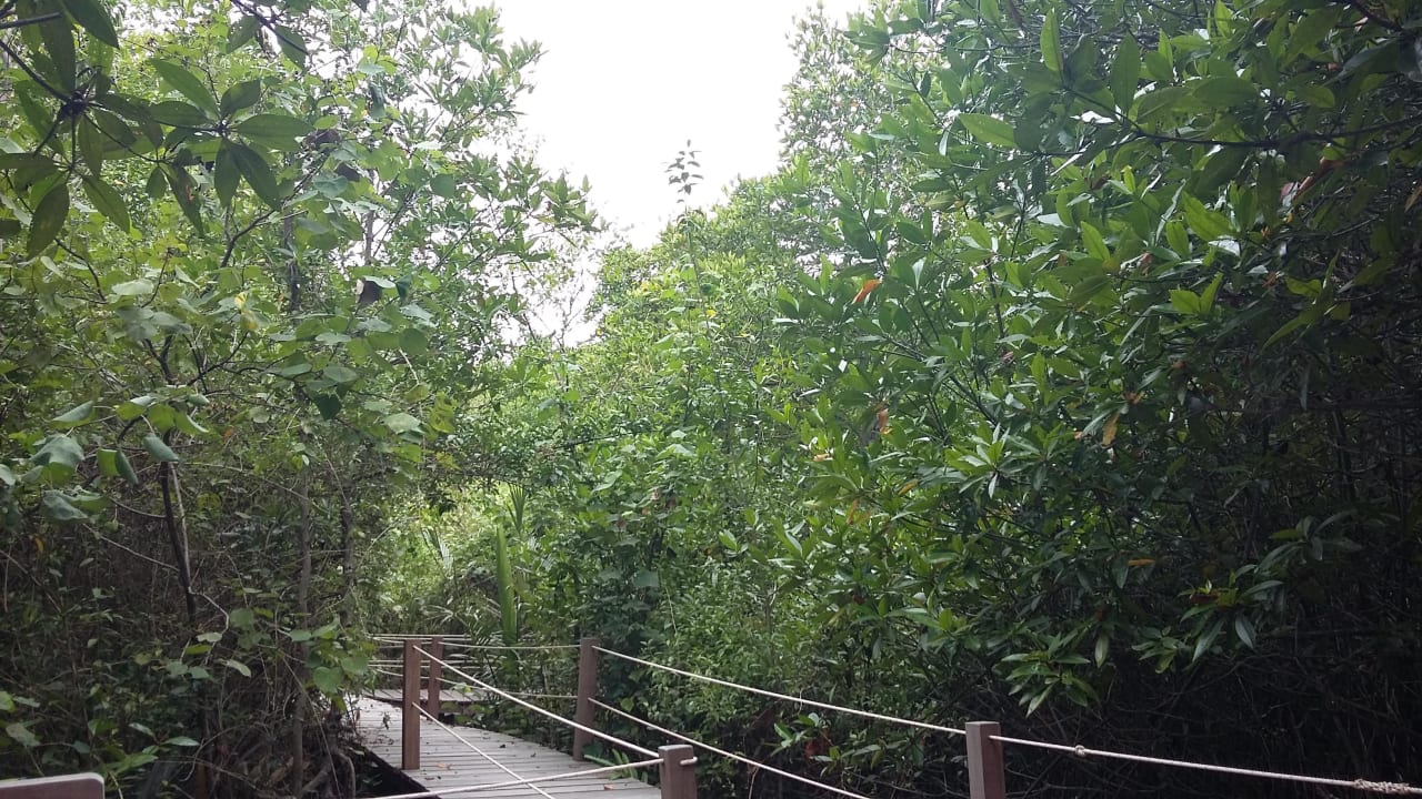 Loverswalk Summer Luxury Beach Resort