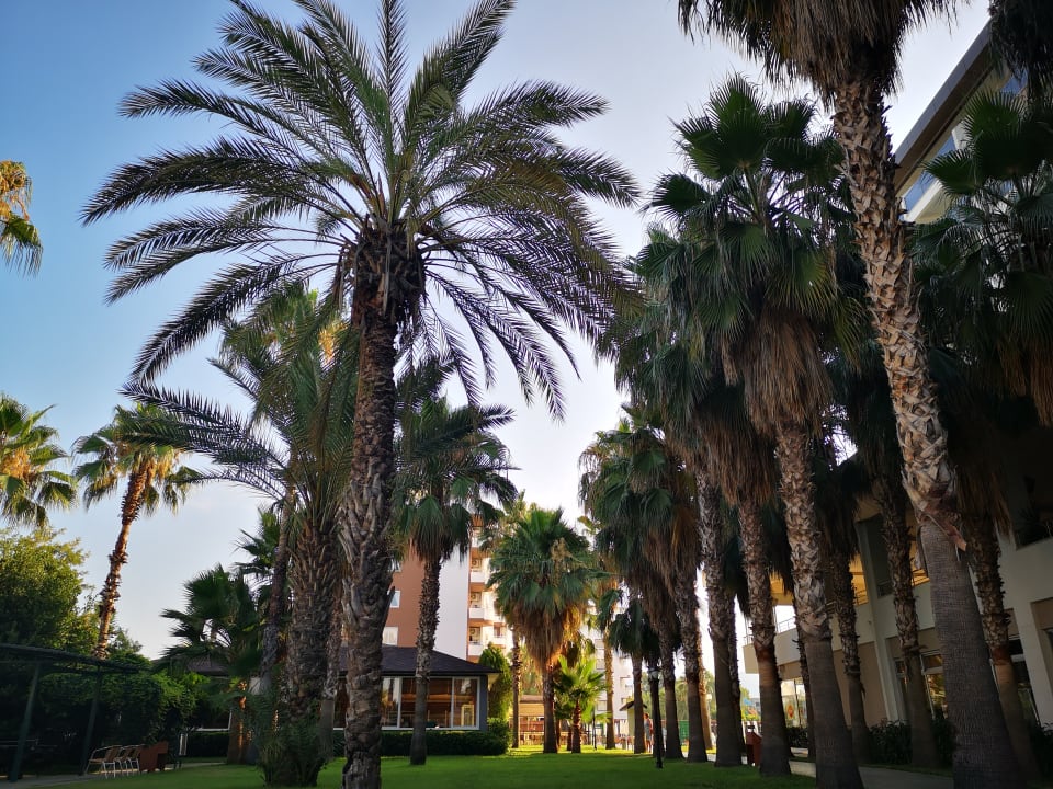 Gartenanlage Hotel Royal Garden Beach