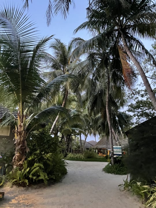 Gartenanlage Kuredu Island Resort & Spa