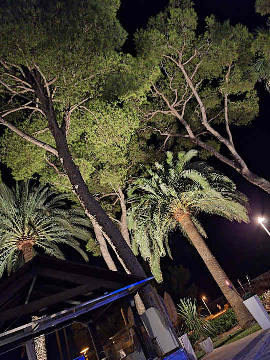 Sonstiges allsun App.-Hotel Orquidea Playa