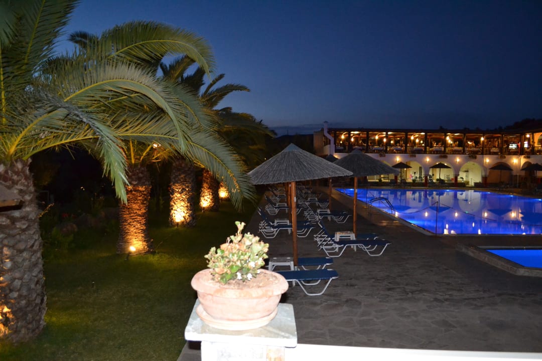Palmen am Pool Blue Dolphin Resort Hotel