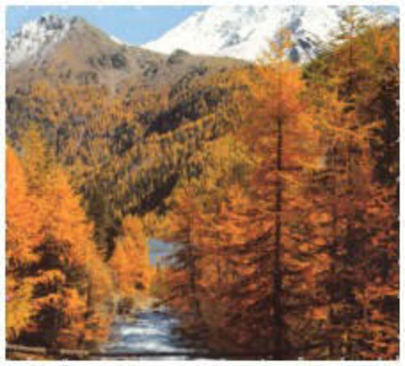 Farbenspiel im Herbst Hotel zum See