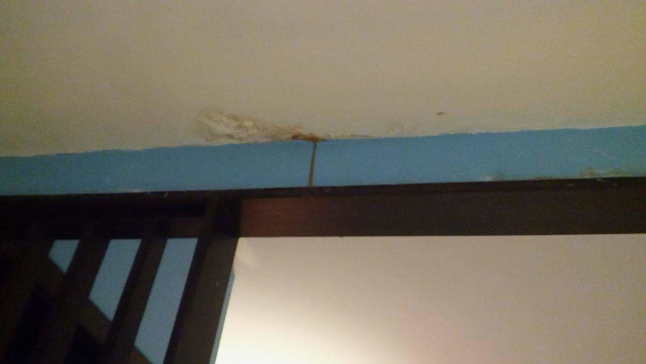 Zimmer The Green Park Resort