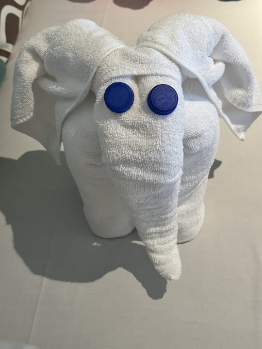 Zimmer Steigenberger Resort Ras Soma