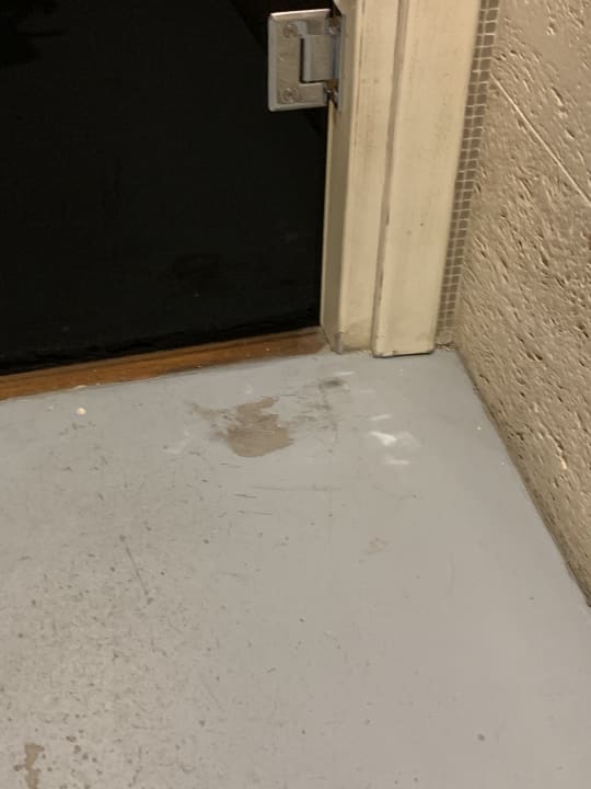 Zimmer Mitsis Selection Laguna