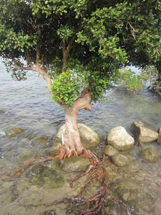 Bei Ebbe Maleenga Resort