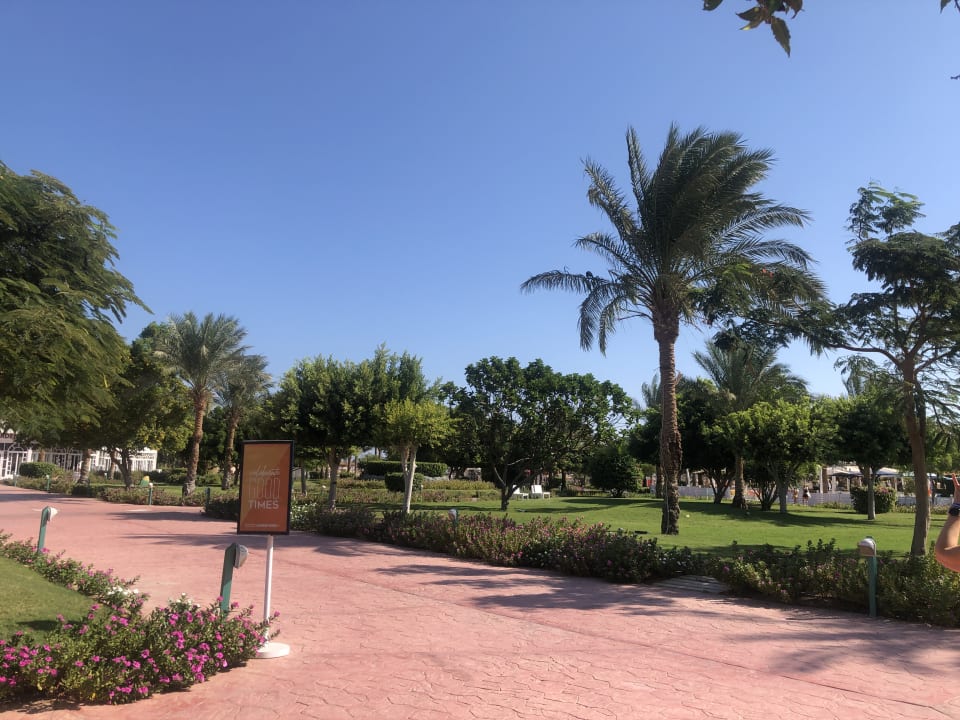 Gartenanlage Desert Rose