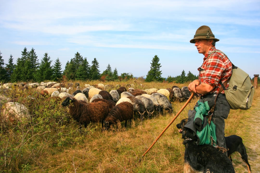 Sport & Freizeit Hotel Landgasthof Gilsbach