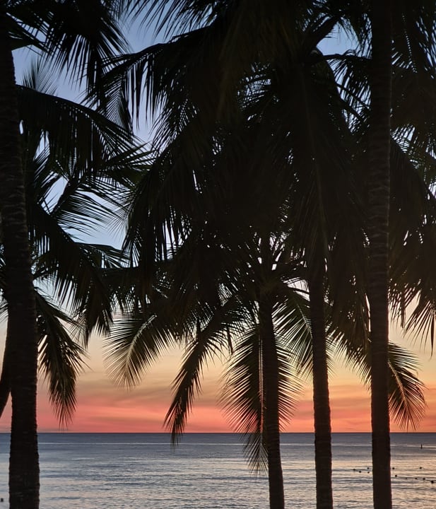 Ausblick Hotel Viva Dominicus Beach by Wyndham - All Inclusive Resort