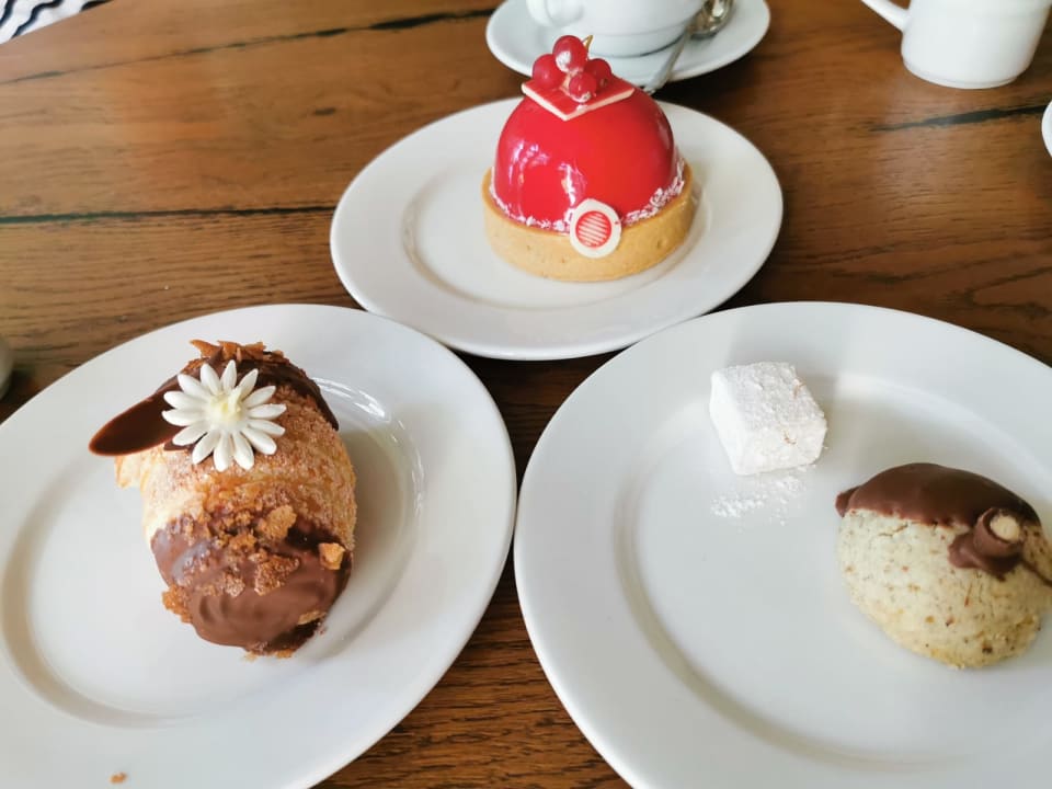 Gastro Acanthus Cennet Barut Collection