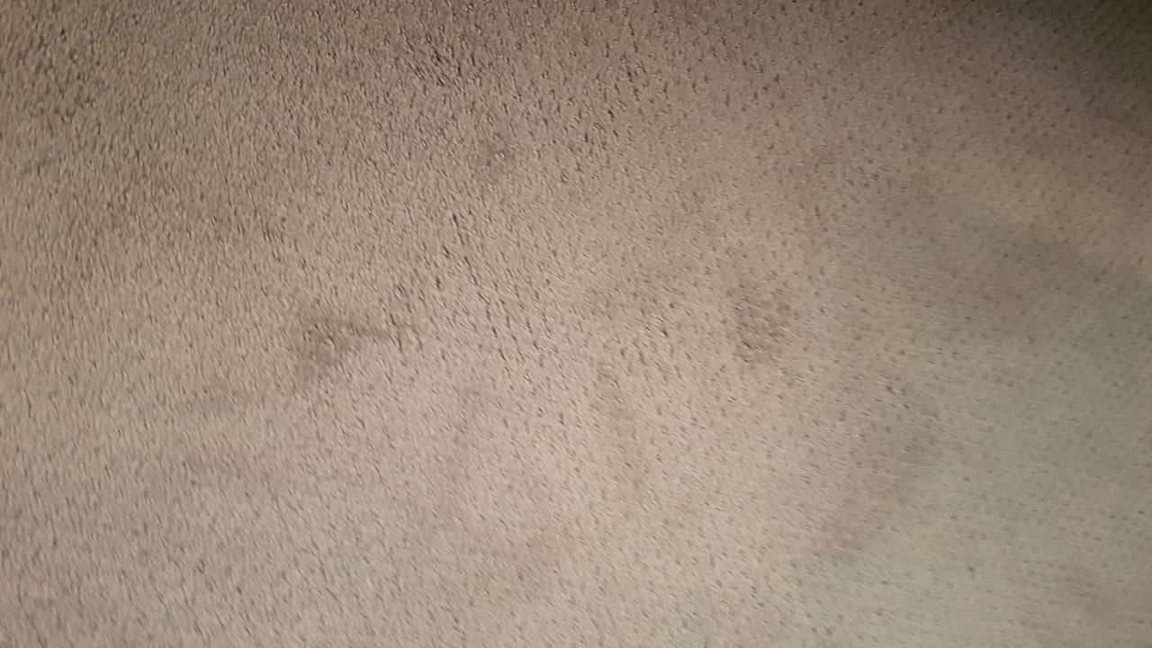 Zimmer Smart Hotel Holiday