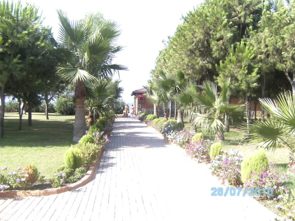 Weg zum Strand Club Turtas Beach Hotel