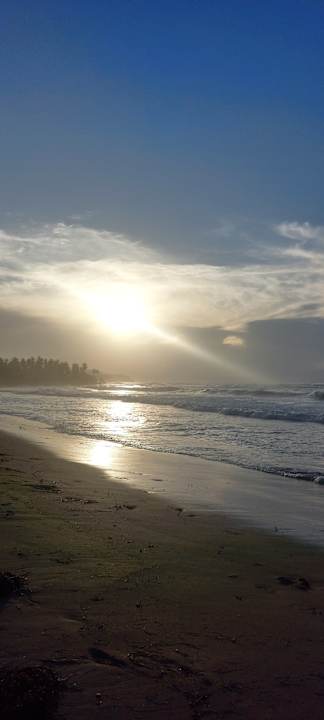 Strand Viva V Samana by Wyndham – Adults Only