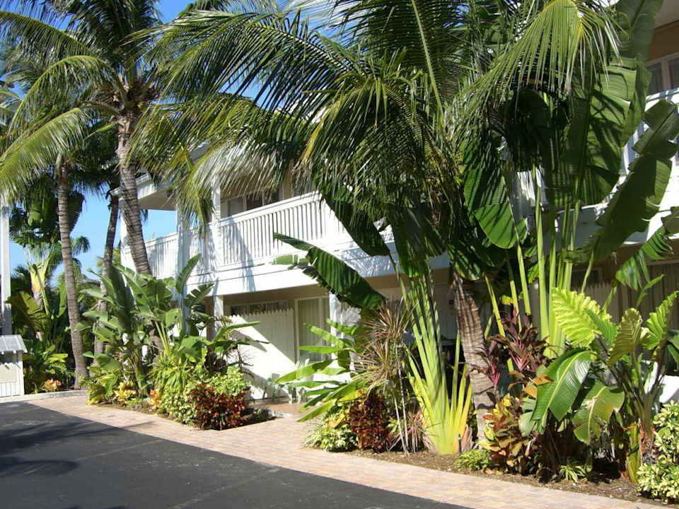 alles grün im Hotelbereich Havana Cabana at Key West