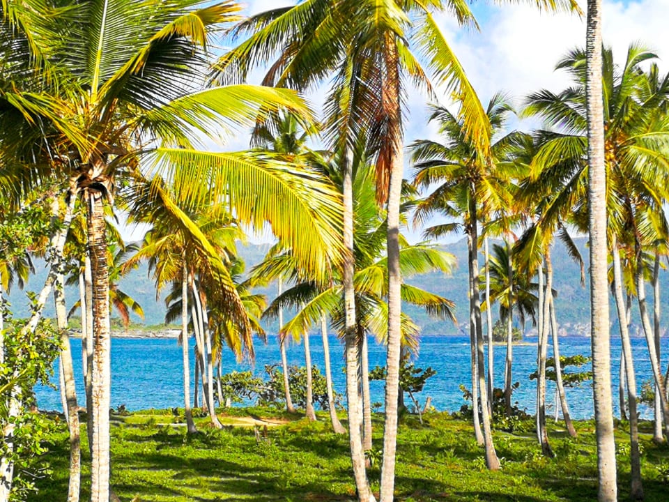 Ausblick Wyndham Alltra Samana