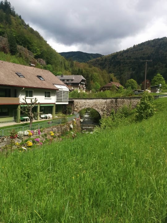 Die Umgebung des Hotels Hotel Waldeck