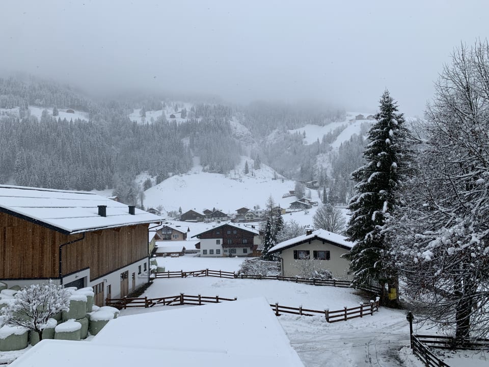 Ausblick Ferienhaus Monika Winter