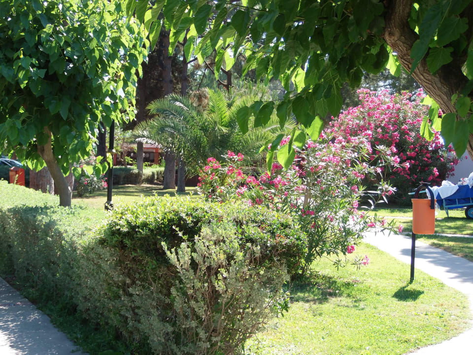 Gartenanlage  Kustur Club Holiday Village