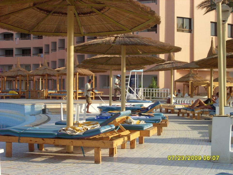 Morgens am Pool Beach Albatros Resort