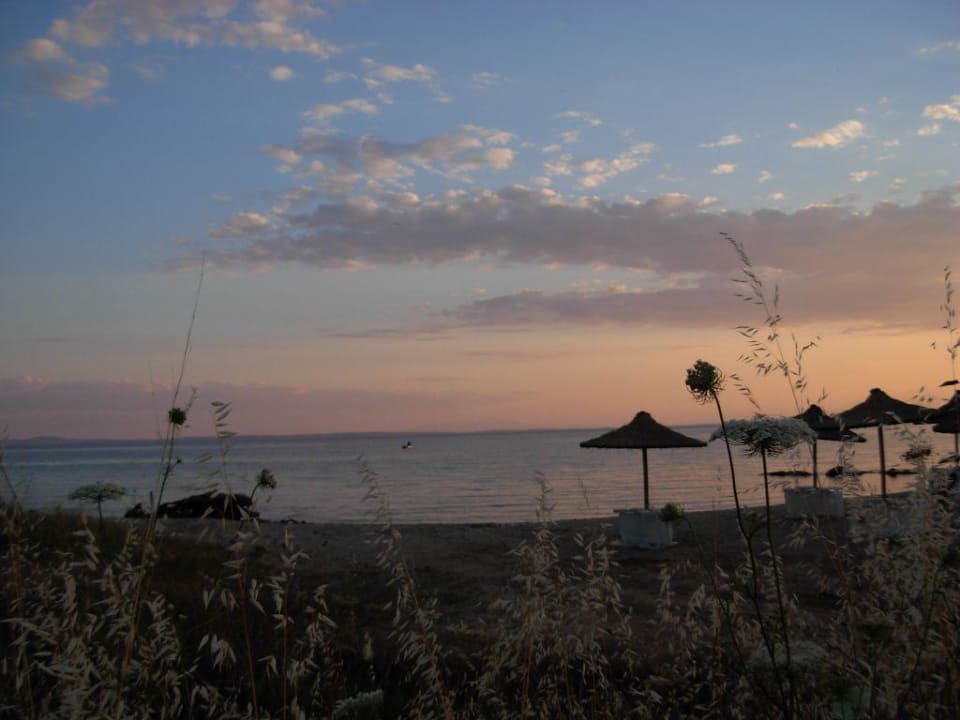 Nahegelegener Strand Blue Dolphin Resort Hotel