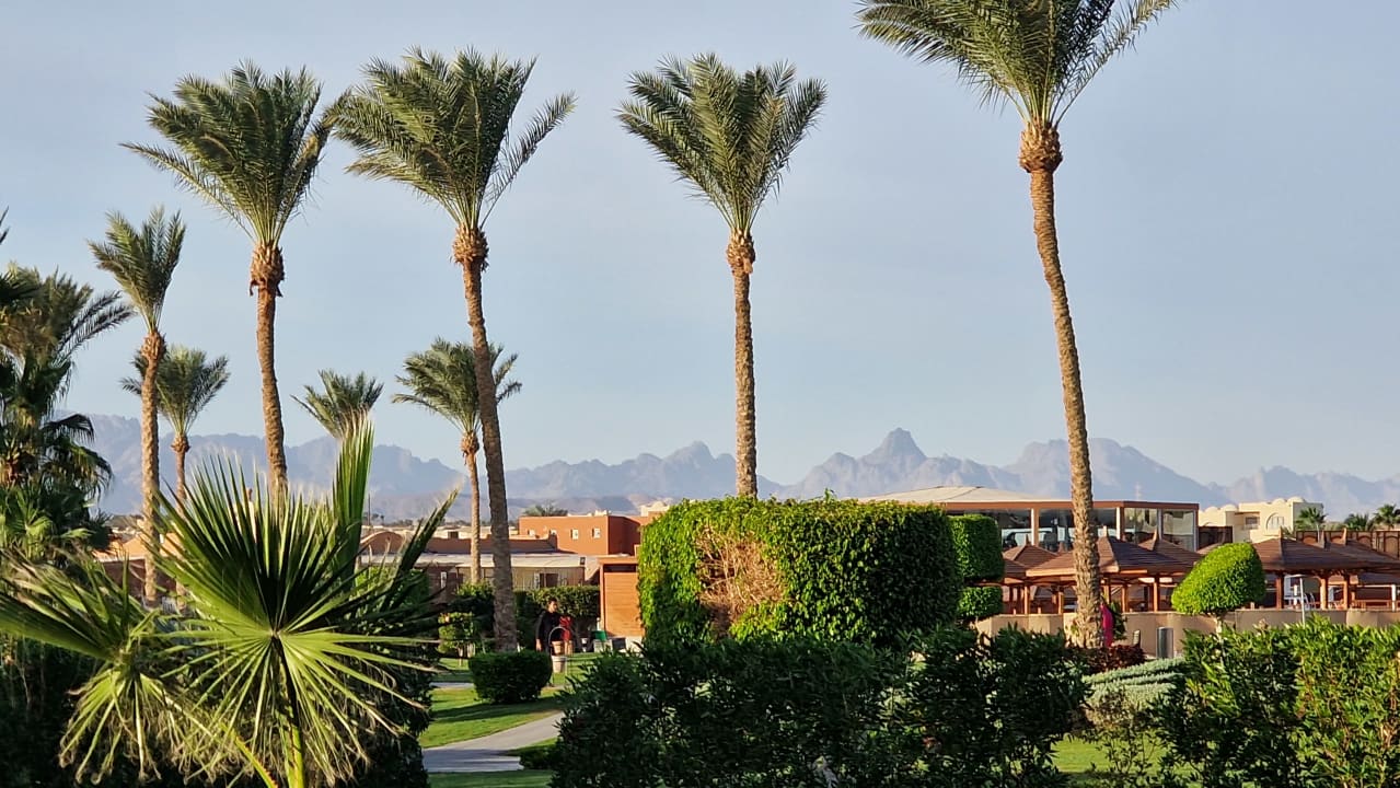 Gartenanlage Sunrise Tucana Resort - Grand Select