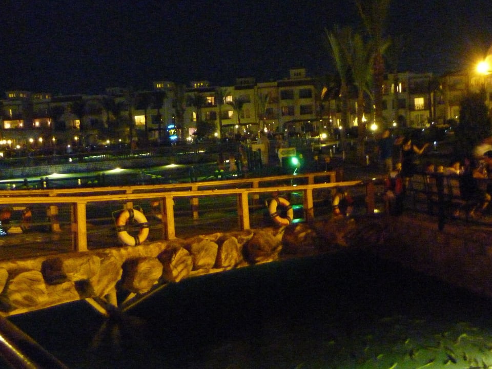 Neue Asia Optik Pickalbatros Dana Beach Resort - Hurghada